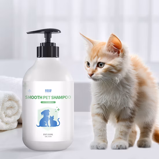 Tree City 500 ml Gingseng-Shampoo für Menschen